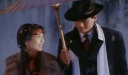 电视剧上海滩在线观看,传奇人生，激情岁月