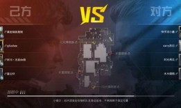 王小姐爆料和平精英视频,揭秘和平精英幕后精彩瞬间